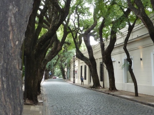 The tree-lined streets of San Isidro